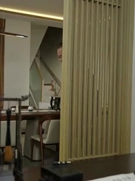 Episodio 11 - [Doblado]La Historia de un Místico