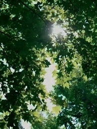 Tập 61 - Tình Yêu Dư Thừa