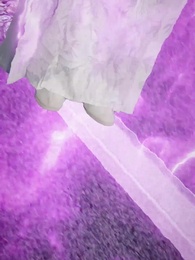 Sob a Proteção do Mestre - Episode 32