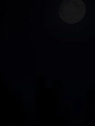 第2集 - 母親的新生