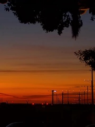 第67集 - 大夏脊樑