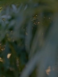 เจ้าสาวที่ไร้คนต้องการ - Episode 2