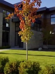 第24集 - 光陰不歸路