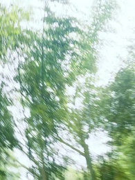 Episode 71 - Phoenix Tersembunyi