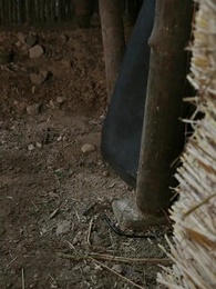 Tập 32 - Mộng Cành Vàng