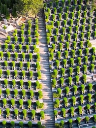 親愛的小孩 - Episode 12