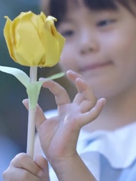 第1集 - 明月照我心