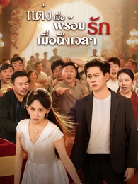 แต่งเมื่อพร้อม รักเมื่อถึงเวลา