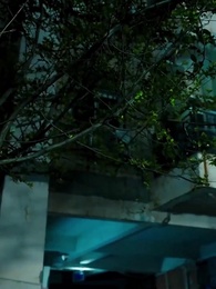 Episodio 7 - ¡Rayos, terminé siendo el jefe mafioso!