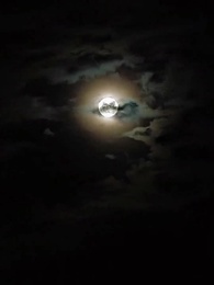 Code Name: Brian - Episode 9