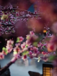 Bölüm 1 - İftiradan Doğan Kraliçe