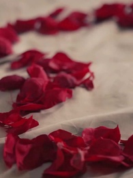 อุปสรรคงานวิวาห์ - Episode 75