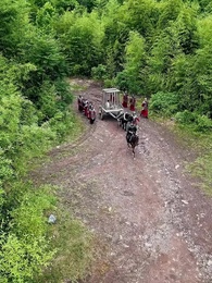 第34話 - 酔剣: 魔を探す記録