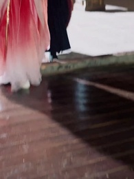 Épisode 25 - Le Retour de la Princesse