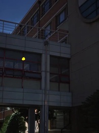 26화 - 여름이 좋아하는 건!