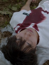 Episode 8 - Love Psychedelic