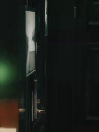 第29集 - 金牌銷售2：以身入侷