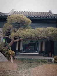 스승님이 있으니, 제자여 걱정 마 - Episode 4