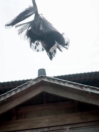 第39話 - 人界に転生し、絶対的な力で降臨する