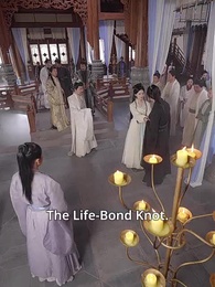 Lady, Your Substitute Groom is the Celestial Emperor - Episode 25