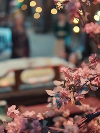 Jugar Con Ella Es Letal - Episode 41