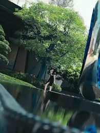 La Dama Indomable - Episode 24