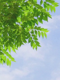 La Regina Ribelle - Episode 49