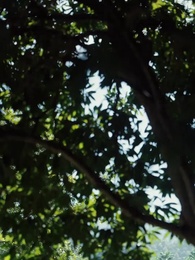 Episode 60 - MY CEO MOMMY AND KUNG FU DADDY