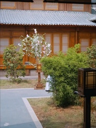 Episode 49 - Reborn with the Sword