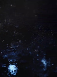 Tập 41 - [Lồng tiếng]Lỡ Duyên Thanh Xuân