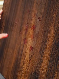 妙手回春堂 - Episode 23