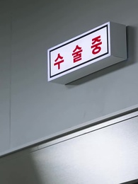 48화 - 성형으로 재벌되기