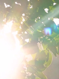 第4集 - 離婚後前妻她又美又颯