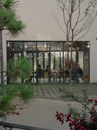 Episode 1 - Supercar Cinderella Story