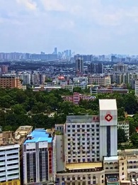 第22集 - 死後第三年