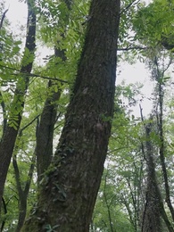 農門悍妻:紈絝世子甜又撩 - Episode 45