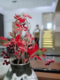 第5集 - 風雨皆是你