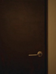 Episode 1 - Becoming the Wife of a Dark Cult Overlord