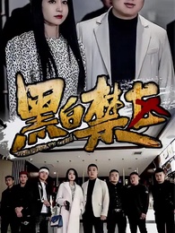 第4集 - 黑白禁區