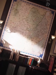 第9集 - 冒牌少帥