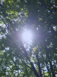 Episode 33 - My Husband Murdered Me