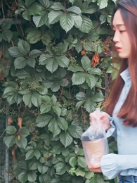 第3集 - 總裁的偏愛