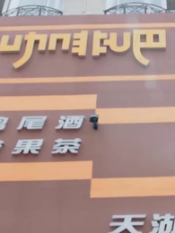 第13集 - 總裁的偏愛