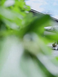 Episodio 28 - El Rey de la Espada