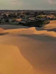 第57話 - [吹替] その春は 誰かの涙で咲いた？