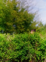 귀신님, 잘 부탁드립니다 - Episode 29