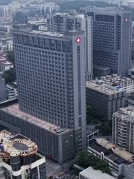 第17集 - 飛上枝頭難成鳳凰