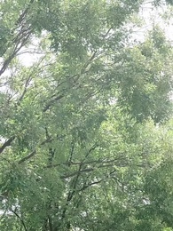 第28集 - 風雨皆是你