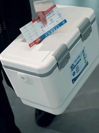 第1集 - 飛上枝頭難成鳳凰