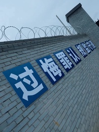 第1集 - 候鳥不再南飛